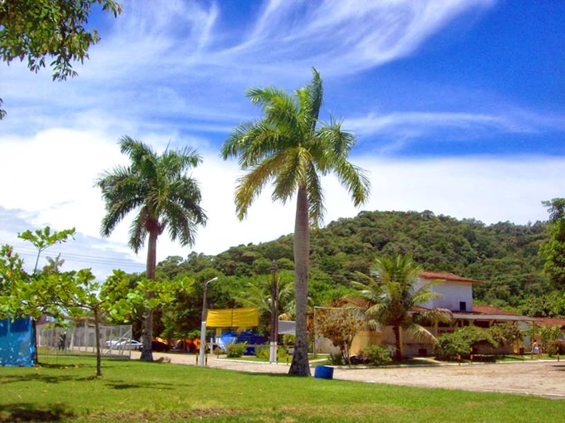 <strong><a href="https://www.itaguacamping.com.br/" rel="Itaguá Camping" target="_blank">Itaguá Camping</a>, <a href="https://viajeaqui.abril.com.br/cidades/br-sp-ubatuba" rel="Ubatuba" target="_self">Ubatuba</a>, <a href="https://viajeaqui.abril.com.br/estados/br-sao-paulo" rel="São Paulo" target="_self">São Paulo</a></strong>    Com amplas áreas de Mata Atlântica e um mar esverdeado, Ubatuba consagra-se como um dos destinos favoritos do Litoral Norte de São Paulo. Se deseja acampar, é preciso ficar atento: o camping Itaguá, por exemplo, funciona na alta temporada. Na baixa, abre somente em feriados prolongados. Mesmo assim, vale a pena curtir suas quadras arborizadas, churrasqueiras, playgrounds e salão de jogos