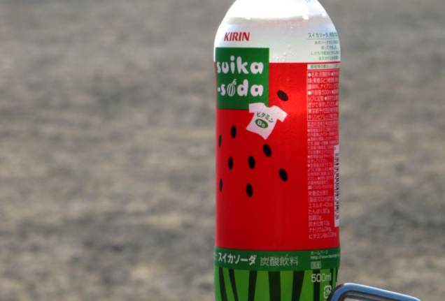 <strong>Bebidas esquisitas</strong>        Quando o verão chega no <a href="http://viajeaqui.abril.com.br/paises/japao" rel="Japão" target="_blank">Japão</a>, as companhias de bebidas lançam os mais bizarros sabores – com massivas campanhas publicitárias. Novas versões de cerveja abriram o caminho para coisas ainda mais curiosas, como refrigentes com sabor melão, kiwi e melancia (foto)