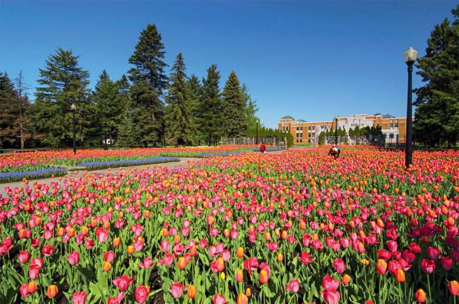 Todas as cores da primavera no jardim botânico da cidade