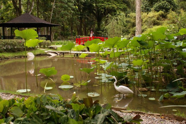 O Jardim Japonês foi criado em 1935 e reinaugurado em 1995 pela princesa Sayako, filha do Imperador do Japão, Akihito. A área de 4,2 mil metros quadrados tem cerejeiras, lagos com peixes, bonsais e bambuzais.