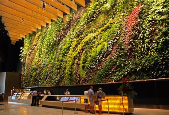 Jardim vertical de Patrick Blanc em Cingapura