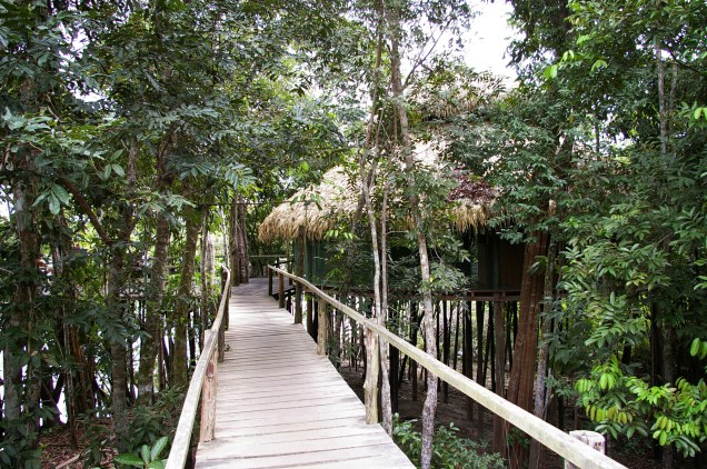<a href="https://viajeaqui.abril.com.br/cidades/br-am-manaus/onde-ficar/hospedagem-na-selva" rel="Hotel de selva na Amazônia" target="_blank"><strong>Hotel de selva na Amazônia</strong></a>Passeio de canoa, focagem de jacarés, pesca de piranhas e caminhadas na floresta integram o pacote de três noites no <a href="https://viajeaqui.abril.com.br/estabelecimentos/br-am-manaus-hospedagem-juma-lodge/" rel="Amazon Juma Lodge" target="_blank">Amazon Juma Lodge</a> (foto), all-inclusive que entretém a gurizada em clima de aventura na natureza. Inclui traslados.<strong>Quando:</strong> em 22 de janeiro<strong>Quem leva:</strong> <a href="https://pisa.tur.br/" rel="Pisa Trekking" target="_blank">Pisa Trekking</a><strong>Quanto:</strong> R$ 3463 (crianças de até 5 anos no quarto dos pais, grátis nohotel, mas pagam o aéreo; de 6 a 10anos, R$ 2003 por todo o pacote)