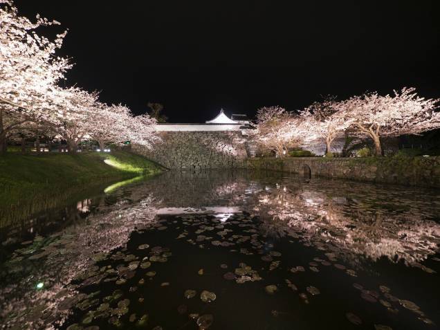 O parque Maizuru abriga as ruínas do Castelo de Fukuoka. Em torno do antigo fosso e suas muralhas, hoje florescem cerejeiras e ameixeiras