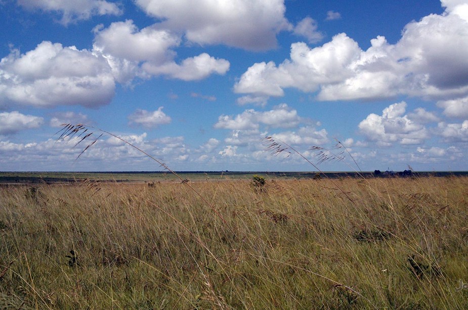 Parque Nacional Das Emas Viagem E Turismo 1269