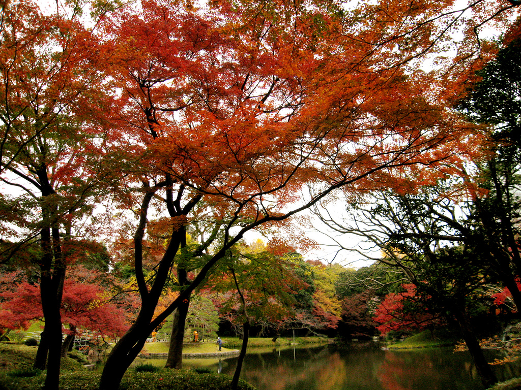 Koishikawa Korakunen, Tóquio, Japão