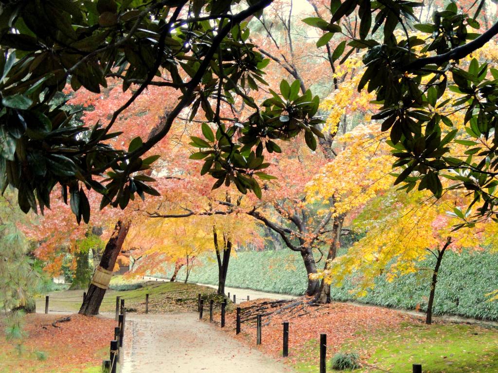 Parque Korakuen, na cidade de Okayama, no Japão, durante o mês de dezembro