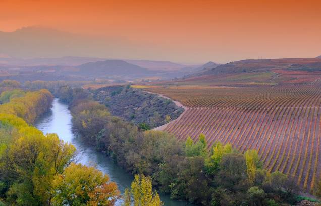 <strong>La Rioja, <a href="http://viajeaqui.abril.com.br/paises/espanha" rel="Espanha" target="_self">Espanha</a></strong>Considerada a Bordeaux espanhola, a região de La Rioja é a mais importante para a vitivinicultura do país. Suas paisagens incríveis fazem dela uma das mais belas regiões de toda a Europa, com produção focada em rótulos de vinhos tintos, jovens e frutados. Entre as principais castas da região, destacam-se a Tempranillo, a Garnacha, a Cariñena e a Mazuelo<em><a href="http://www.booking.com/region/es/la-rioja.pt-br.html?aid=332455&label=viagemabril-vinicolas-da-europa" rel="Veja preços de hotéis em La Rioja no Booking.com" target="_blank">Veja preços de hotéis em La Rioja no Booking.com</a></em>
