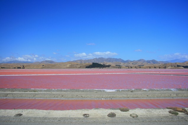 <strong>Lac Rose (Retba), Senegal</strong> O lago Retba, também conhecido como Lago Rosa, tem seu nome associado à cor de suas águas, causadas por um tipo de alga. Seu alto grau de salinidade é comparável ao do Mar Morto, entre <a href="https://viajeaqui.abril.com.br/paises/jordania">Jordânia </a>e Israel. <a href="https://www.booking.com/searchresults.pt-br.html?aid=332455&lang=pt-br&sid=eedbe6de09e709d664615ac6f1b39a5d&sb=1&src=searchresults&src_elem=sb&error_url=https%3A%2F%2Fwww.booking.com%2Fsearchresults.pt-br.html%3Faid%3D332455%3Bsid%3Deedbe6de09e709d664615ac6f1b39a5d%3Bclass_interval%3D1%3Bdest_id%3D44%3Bdest_type%3Dcountry%3Bdtdisc%3D0%3Bgroup_adults%3D2%3Bgroup_children%3D0%3Binac%3D0%3Bindex_postcard%3D0%3Blabel_click%3Dundef%3Bno_rooms%3D1%3Boffset%3D0%3Bpostcard%3D0%3Braw_dest_type%3Dcountry%3Broom1%3DA%252CA%3Bsb_price_type%3Dtotal%3Bsearch_selected%3D1%3Bsrc%3Dindex%3Bsrc_elem%3Dsb%3Bss%3DChina%3Bss_all%3D0%3Bss_raw%3DChina%3Bssb%3Dempty%3Bsshis%3D0%3Bssne_untouched%3DIlhabela%26%3B&ss=Senegal&ssne=China&ssne_untouched=China&checkin_monthday=&checkin_month=&checkin_year=&checkout_monthday=&checkout_month=&checkout_year=&no_rooms=1&group_adults=2&group_children=0&highlighted_hotels=&from_sf=1&ss_raw=Senegal+&ac_position=0&ac_langcode=xb&dest_id=187&dest_type=country&search_pageview_id=6aa473eadb160068&search_selected=true&search_pageview_id=6aa473eadb160068&ac_suggestion_list_length=5&ac_suggestion_theme_list_length=0" target="_blank" rel="noopener"><em>Busque hospedagens em Senegal no Booking.com</em></a>