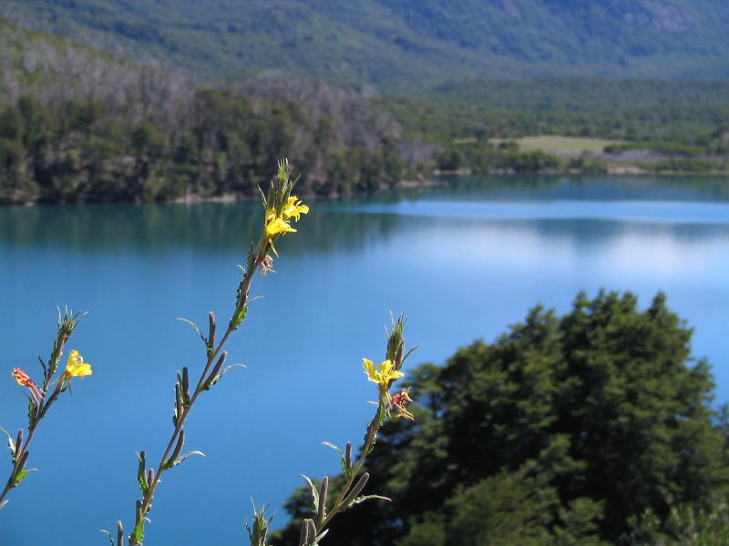 Lago Machónico - - Ruta de los Siete Lagos - Argentina - Flickr - cucundra
