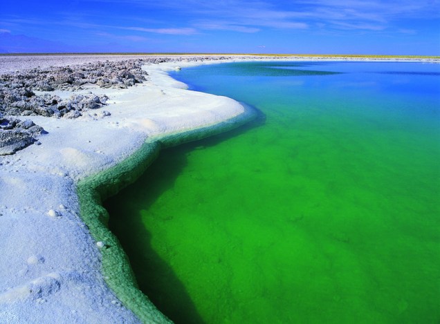 Esta lagoa verde-esmeralda no <a href="https://viajeaqui.abril.com.br/estabelecimentos/chile-san-pedro-de-atacama-atracao-salar-do-atacama" rel="Salar de Atacama" target="_blank"><strong>Salar de Atacama</strong></a> é tão salgada que o corpo não afunda, assim como no Mar Morto, em Israel. Note que as margens já foram cristalizadas pelo sal