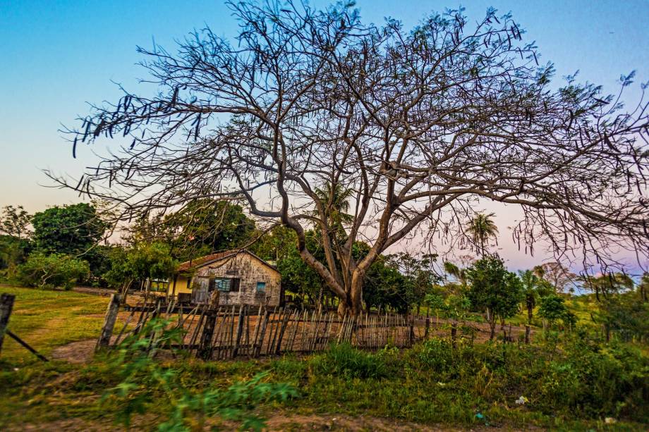 O cerradão da janela O cerradão da janela