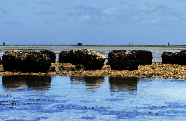 Ponta Verde, em Maceió, tem grande incidência de algas marinhas