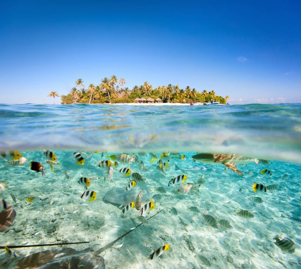 Maldivas istock