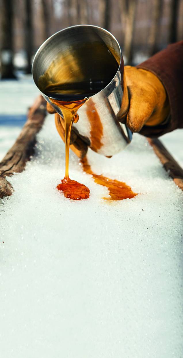 Maple syrup (foto), o xarope de bordo, é danado de doce. Agrada até como tempero de peixe. Vale acompanhar o processo de produção numa cabane à sucre, choupanas cercadas de bordos – canos plásticos acoplados a essas árvores extraem o melado. Em Île d’Orléans, ilha com atmosfera de <a href="https://viajeaqui.abril.com.br/paises/franca" rel="França" target="_blank">França</a> rural a 15 minutos de <a href="https://viajeaqui.abril.com.br/cidades/canada-quebec" rel="Quebec" target="_blank">Quebec</a>, a <a href="https://entailleur.com/" rel="L’En-Tailleur" target="_blank">L’En-Tailleur</a> conta com o bônus de servir almoço. Vá entre abril, quando o sol derrete a neve e as tulipas nascem, e novembro. A gastronomia vai além do maple e do poutine – batatas fritas na banha e mergulhadas em molhos diversos Maple syrup (foto), o xarope de bordo, é danado de doce. Agrada até como tempero de peixe. Vale acompanhar o processo de produção numa cabane à sucre, choupanas cercadas de bordos – canos plásticos acoplados a essas árvores extraem o melado. Em Île d’Orléans, ilha com atmosfera de <a href="https://viajeaqui.abril.com.br/paises/franca" rel="França" target="_blank">França</a> rural a 15 minutos de <a href="https://viajeaqui.abril.com.br/cidades/canada-quebec" rel="Quebec" target="_blank">Quebec</a>, a <a href="https://entailleur.com/" rel="L’En-Tailleur" target="_blank">L’En-Tailleur</a> conta com o bônus de servir almoço. Vá entre abril, quando o sol derrete a neve e as tulipas nascem, e novembro. A gastronomia vai além do maple e do poutine – batatas fritas na banha e mergulhadas em molhos diversos