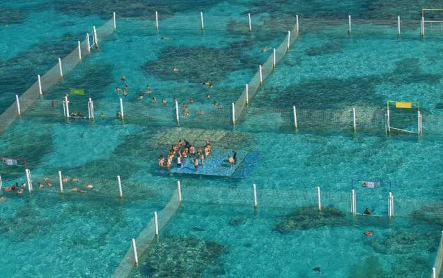 Área de mergulho com arraias e tubarões do Marinarium Área de mergulho com arraias e tubarões do Marinarium