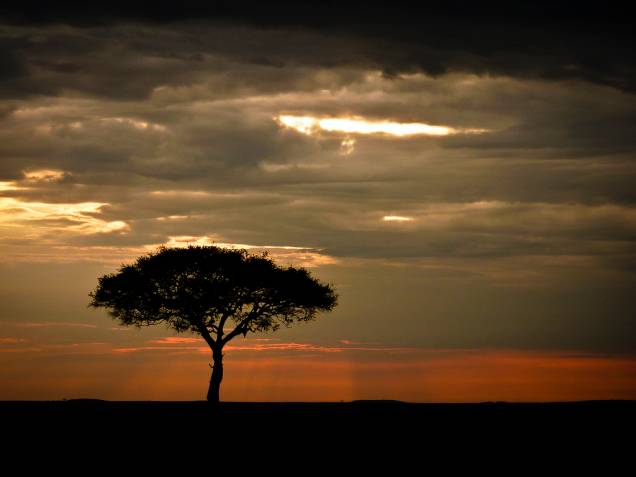 <strong>Parque Nacional Masai Mara, Quênia</strong> Não parece uma paisagem do Rei Leão? O Masai Mara é um dos destinos de safári clássicos das savanas africanas, junto a outros parques de <a href="http://viajeaqui.abril.com.br/paises/tanzania">Tanzânia </a>e <a href="http://viajeaqui.abril.com.br/paises/quenia">Quênia</a>, como o Serengeti e Tsavo. <a href="https://www.booking.com/searchresults.pt-br.html?aid=332455&lang=pt-br&sid=eedbe6de09e709d664615ac6f1b39a5d&sb=1&src=searchresults&src_elem=sb&error_url=https%3A%2F%2Fwww.booking.com%2Fsearchresults.pt-br.html%3Faid%3D332455%3Bsid%3Deedbe6de09e709d664615ac6f1b39a5d%3Bclass_interval%3D1%3Bdest_id%3D187%3Bdest_type%3Dcountry%3Bdtdisc%3D0%3Bgroup_adults%3D2%3Bgroup_children%3D0%3Binac%3D0%3Bindex_postcard%3D0%3Blabel_click%3Dundef%3Bno_rooms%3D1%3Boffset%3D0%3Bpostcard%3D0%3Braw_dest_type%3Dcountry%3Broom1%3DA%252CA%3Bsb_price_type%3Dtotal%3Bsearch_selected%3D1%3Bsrc%3Dsearchresults%3Bsrc_elem%3Dsb%3Bss%3DSenegal%3Bss_all%3D0%3Bss_raw%3DSenegal%3Bssb%3Dempty%3Bsshis%3D0%3Bssne_untouched%3DChina%26%3B&ss=Qu%C3%AAnia&ssne=Senegal&ssne_untouched=Senegal&checkin_monthday=&checkin_month=&checkin_year=&checkout_monthday=&checkout_month=&checkout_year=&no_rooms=1&group_adults=2&group_children=0&highlighted_hotels=&from_sf=1&ss_raw=Qu%C3%AAnia&ac_position=0&ac_langcode=xb&dest_id=109&dest_type=country&search_pageview_id=a5a17400ad32001d&search_selected=true&search_pageview_id=a5a17400ad32001d&ac_suggestion_list_length=3&ac_suggestion_theme_list_length=0" target="_blank" rel="noopener"><em>Busque hospedagens em Quênia no Booking.com</em></a>