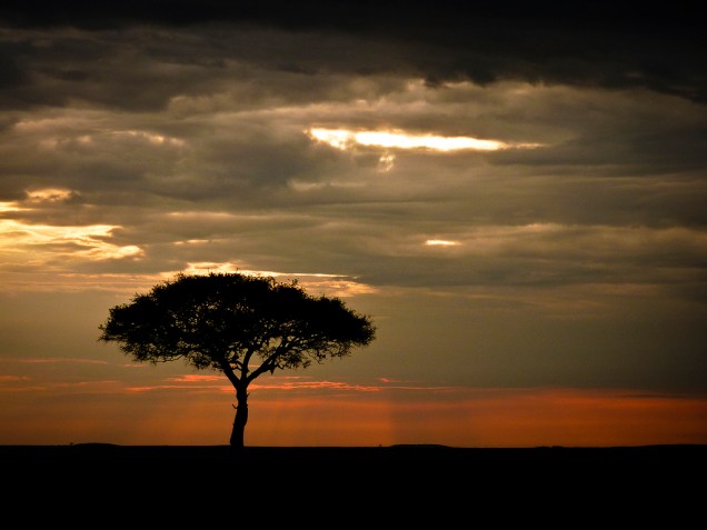 <strong>Parque Nacional Masai Mara, Quênia</strong> Não parece uma paisagem do Rei Leão? O Masai Mara é um dos destinos de safári clássicos das savanas africanas, junto a outros parques de <a href="https://viajeaqui.abril.com.br/paises/tanzania">Tanzânia </a>e <a href="https://viajeaqui.abril.com.br/paises/quenia">Quênia</a>, como o Serengeti e Tsavo. <a href="https://www.booking.com/searchresults.pt-br.html?aid=332455&lang=pt-br&sid=eedbe6de09e709d664615ac6f1b39a5d&sb=1&src=searchresults&src_elem=sb&error_url=https%3A%2F%2Fwww.booking.com%2Fsearchresults.pt-br.html%3Faid%3D332455%3Bsid%3Deedbe6de09e709d664615ac6f1b39a5d%3Bclass_interval%3D1%3Bdest_id%3D187%3Bdest_type%3Dcountry%3Bdtdisc%3D0%3Bgroup_adults%3D2%3Bgroup_children%3D0%3Binac%3D0%3Bindex_postcard%3D0%3Blabel_click%3Dundef%3Bno_rooms%3D1%3Boffset%3D0%3Bpostcard%3D0%3Braw_dest_type%3Dcountry%3Broom1%3DA%252CA%3Bsb_price_type%3Dtotal%3Bsearch_selected%3D1%3Bsrc%3Dsearchresults%3Bsrc_elem%3Dsb%3Bss%3DSenegal%3Bss_all%3D0%3Bss_raw%3DSenegal%3Bssb%3Dempty%3Bsshis%3D0%3Bssne_untouched%3DChina%26%3B&ss=Qu%C3%AAnia&ssne=Senegal&ssne_untouched=Senegal&checkin_monthday=&checkin_month=&checkin_year=&checkout_monthday=&checkout_month=&checkout_year=&no_rooms=1&group_adults=2&group_children=0&highlighted_hotels=&from_sf=1&ss_raw=Qu%C3%AAnia&ac_position=0&ac_langcode=xb&dest_id=109&dest_type=country&search_pageview_id=a5a17400ad32001d&search_selected=true&search_pageview_id=a5a17400ad32001d&ac_suggestion_list_length=3&ac_suggestion_theme_list_length=0" target="_blank" rel="noopener"><em>Busque hospedagens em Quênia no Booking.com</em></a>