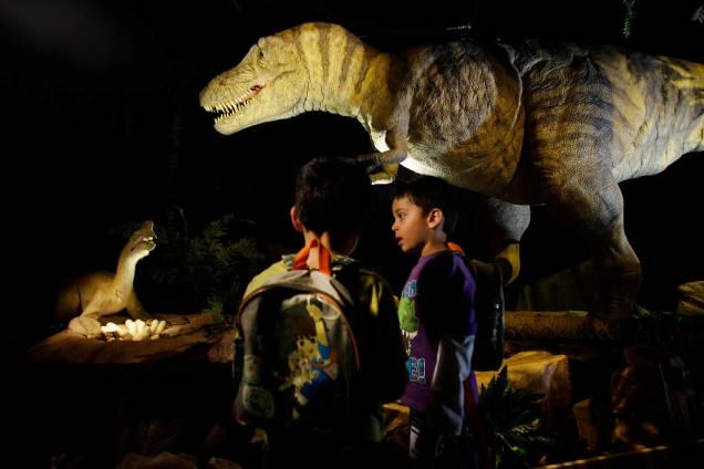 O Museu de História Natural é parada obrigatória para quem viaja com crianças e adolescentes