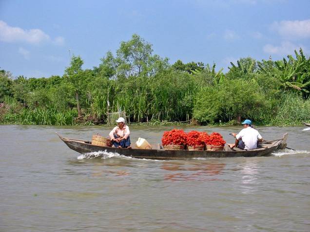 <strong>Delta do Mekong:</strong> Densamente povoado, a região do Delta do Mekong, uma das mais férteis do Vietnã, pode tornar-se vítima das mudanças climáticas. Um aumento do nível do mar inundaria rapidamente as fazendas de camarões, os vilarejos e os cultivos agrícolas, que garantem trabalho e sustento para os moradores locais. Segundo as previsões mais pessimistas, até 2100, o mar engolirá 5% do território, 7% das terras agrícolas e 11% de sua população.