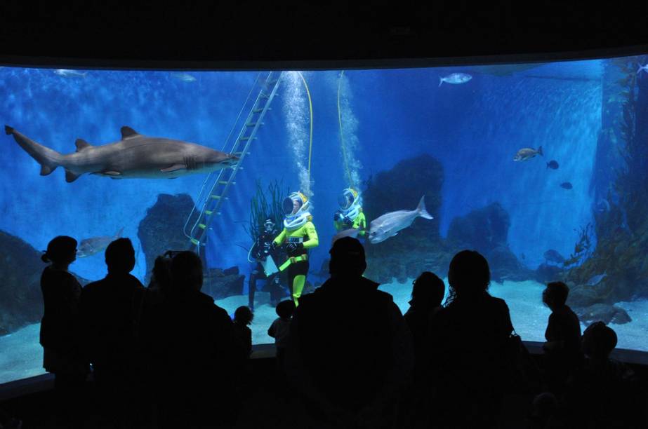 Aquário de Melbourne Aquário de Melbourne