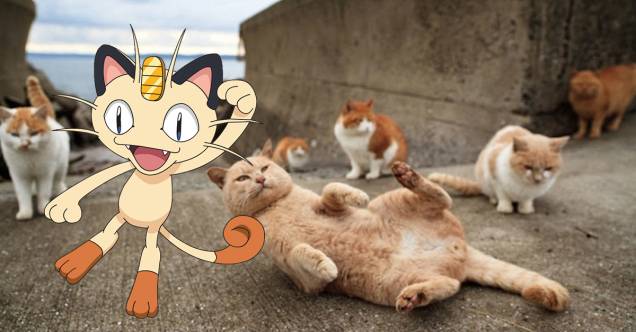 <strong>MEOWTH: <a href="https://viajeaqui.abril.com.br/cidades/japao-fukuoka" rel="ILHA DE FUKUOKA" target="_blank">ILHA DE FUKUOKA</a> (<a href="https://viajeaqui.abril.com.br/paises/japao" rel="JAPÃO">JAPÃO</a>)</strong>Apesar de no desenho ele ser parte da equipe de vilões, o Meowth tem muito carisma – para começar, o bichano tem a possibilidade de conseguir desenvolver a fala. O problema é que essa coisa de falar pode deixar ele muito próximo de seres humanos e distante de seus parentes felinos. Um recanto para esses pokémons com certeza seria a ilha de Fukuoka, no Japão, um lugar tomado por centenas de gatos alimentados pelos pescadores locais. Os animais vivem livres vagando pelos arredores e seriam uma boa nova equipe para o Meowth da Equipe Rocket e para todos os outros <strong>MEOWTH: <a href="https://viajeaqui.abril.com.br/cidades/japao-fukuoka" rel="ILHA DE FUKUOKA" target="_blank">ILHA DE FUKUOKA</a> (<a href="https://viajeaqui.abril.com.br/paises/japao" rel="JAPÃO">JAPÃO</a>)</strong>Apesar de no desenho ele ser parte da equipe de vilões, o Meowth tem muito carisma – para começar, o bichano tem a possibilidade de conseguir desenvolver a fala. O problema é que essa coisa de falar pode deixar ele muito próximo de seres humanos e distante de seus parentes felinos. Um recanto para esses pokémons com certeza seria a ilha de Fukuoka, no Japão, um lugar tomado por centenas de gatos alimentados pelos pescadores locais. Os animais vivem livres vagando pelos arredores e seriam uma boa nova equipe para o Meowth da Equipe Rocket e para todos os outros