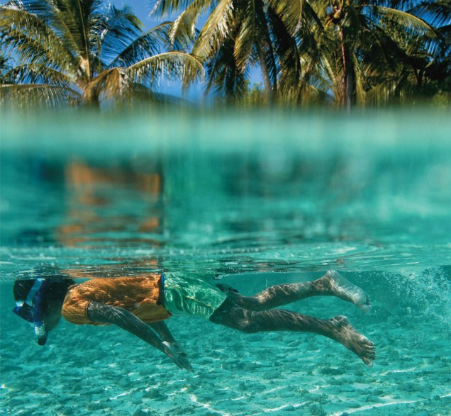 Um tranquilo mergulho entre coqueiros nas águas transparentes do arquipélago