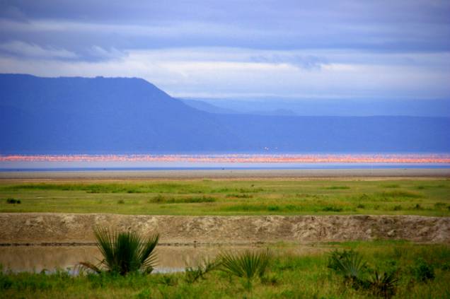 <strong><a href="https://www.lakemanyara.net/" target="_blank" rel="noopener">Parque Nacional do Lago Manyara</a>, Karatu, Tanzânia</strong> O parque ocupa uma área de aproximadamente 32 mil hectares, cobrindo terras áridas, florestas e lagos. Por aqui, é possível encontrar animais como leopardos e girafas, além de mais de 400 espécies de aves <em><a href="https://www.booking.com/searchresults.pt-br.html?aid=332455&sid=b6bf542626b1a2c7a9951e44506f270a&sb=1&src=searchresults&src_elem=sb&error_url=https%3A%2F%2Fwww.booking.com%2Fsearchresults.pt-br.html%3Faid%3D332455%3Bsid%3Db6bf542626b1a2c7a9951e44506f270a%3Btmpl%3Dsearchresults%3Bac_click_type%3Db%3Bac_position%3D0%3Bclass_interval%3D1%3Bdest_id%3D14665%3Bdest_type%3Dregion%3Bdtdisc%3D0%3Bfrom_sf%3D1%3Bgroup_adults%3D2%3Bgroup_children%3D0%3Binac%3D0%3Bindex_postcard%3D0%3Blabel_click%3Dundef%3Bno_rooms%3D1%3Boffset%3D0%3Bpostcard%3D0%3Braw_dest_type%3Dregion%3Broom1%3DA%252CA%3Bsb_price_type%3Dtotal%3Bsearch_selected%3D1%3Bshw_aparth%3D1%3Bslp_r_match%3D0%3Bsrc%3Dsearchresults%3Bsrc_elem%3Dsb%3Bsrpvid%3D09ac81fe9dd70131%3Bss%3DEtosha%2520National%2520Park%252C%2520Nam%25C3%25ADbia%3Bss_all%3D0%3Bss_raw%3DEtosha%2520national%2520park%3Bssb%3Dempty%3Bsshis%3D0%3Bssne%3DRepovesi%2520National%2520Park%252C%2520Kouvola%252C%2520Finland%3Bssne_untouched%3DRepovesi%2520National%2520Park%252C%2520Kouvola%252C%2520Finland%3Btop_ufis%3D1%26%3B&ss=Lago+Manyara%2C+Lake+Manyara+National+Park%2C+Tanzania&is_ski_area=&ssne=Etosha+National+Park&ssne_untouched=Etosha+National+Park&checkin_monthday=&checkin_month=&checkin_year=&checkout_monthday=&checkout_month=&checkout_year=&group_adults=2&group_children=0&no_rooms=1&from_sf=1&ss_raw=Lago+Manyara+national+park&ac_position=1&ac_click_type=g&dest_id=ChIJ63IcVZ3TNRgR82FUItOxioY&dest_type=landmark&place_id=ChIJ63IcVZ3TNRgR82FUItOxioY&place_id_lat=-3.6190593&place_id_lon=35.8061779&place_types=natural_feature%2Cestablishment&search_pageview_id=09ac81fe9dd70131&search_selected=true" target="_blank" rel="noopener">Veja preços de hotéis próximos ao Lago Manyara no Booking.com</a></em> <strong><a href="https://www.lakemanyara.net/" target="_blank" rel="noopener">Parque Nacional do Lago Manyara</a>, Karatu, Tanzânia</strong> O parque ocupa uma área de aproximadamente 32 mil hectares, cobrindo terras áridas, florestas e lagos. Por aqui, é possível encontrar animais como leopardos e girafas, além de mais de 400 espécies de aves <em><a href="https://www.booking.com/searchresults.pt-br.html?aid=332455&sid=b6bf542626b1a2c7a9951e44506f270a&sb=1&src=searchresults&src_elem=sb&error_url=https%3A%2F%2Fwww.booking.com%2Fsearchresults.pt-br.html%3Faid%3D332455%3Bsid%3Db6bf542626b1a2c7a9951e44506f270a%3Btmpl%3Dsearchresults%3Bac_click_type%3Db%3Bac_position%3D0%3Bclass_interval%3D1%3Bdest_id%3D14665%3Bdest_type%3Dregion%3Bdtdisc%3D0%3Bfrom_sf%3D1%3Bgroup_adults%3D2%3Bgroup_children%3D0%3Binac%3D0%3Bindex_postcard%3D0%3Blabel_click%3Dundef%3Bno_rooms%3D1%3Boffset%3D0%3Bpostcard%3D0%3Braw_dest_type%3Dregion%3Broom1%3DA%252CA%3Bsb_price_type%3Dtotal%3Bsearch_selected%3D1%3Bshw_aparth%3D1%3Bslp_r_match%3D0%3Bsrc%3Dsearchresults%3Bsrc_elem%3Dsb%3Bsrpvid%3D09ac81fe9dd70131%3Bss%3DEtosha%2520National%2520Park%252C%2520Nam%25C3%25ADbia%3Bss_all%3D0%3Bss_raw%3DEtosha%2520national%2520park%3Bssb%3Dempty%3Bsshis%3D0%3Bssne%3DRepovesi%2520National%2520Park%252C%2520Kouvola%252C%2520Finland%3Bssne_untouched%3DRepovesi%2520National%2520Park%252C%2520Kouvola%252C%2520Finland%3Btop_ufis%3D1%26%3B&ss=Lago+Manyara%2C+Lake+Manyara+National+Park%2C+Tanzania&is_ski_area=&ssne=Etosha+National+Park&ssne_untouched=Etosha+National+Park&checkin_monthday=&checkin_month=&checkin_year=&checkout_monthday=&checkout_month=&checkout_year=&group_adults=2&group_children=0&no_rooms=1&from_sf=1&ss_raw=Lago+Manyara+national+park&ac_position=1&ac_click_type=g&dest_id=ChIJ63IcVZ3TNRgR82FUItOxioY&dest_type=landmark&place_id=ChIJ63IcVZ3TNRgR82FUItOxioY&place_id_lat=-3.6190593&place_id_lon=35.8061779&place_types=natural_feature%2Cestablishment&search_pageview_id=09ac81fe9dd70131&search_selected=true" target="_blank" rel="noopener">Veja preços de hotéis próximos ao Lago Manyara no Booking.com</a></em>