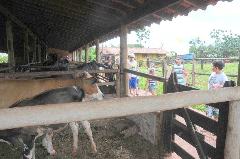 Mini Fazenda
