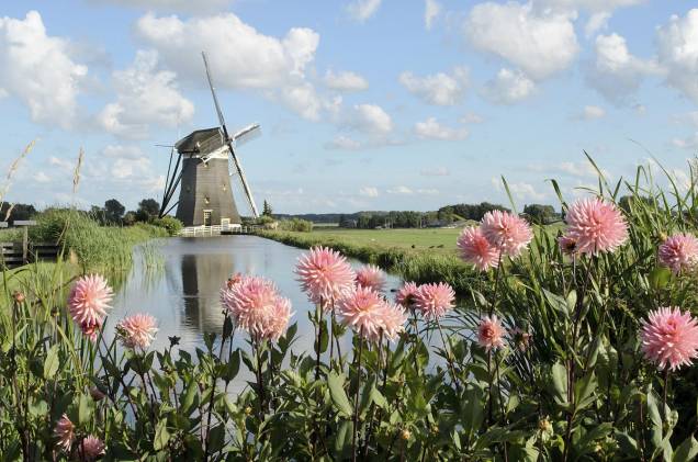 Um passeio de um dia a partir de Amsterdã são os moinhos de <a href="http://viajeaqui.abril.com.br/estabelecimentos/holanda-amsterda-atracao-moinhos-em-kinderdijk" rel="Kinderdijk" target="_blank">Kinderdijk</a>, a 95 quilômetros do centro da cidade