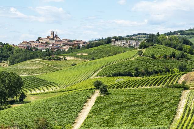 <strong>Piemonte, <a href="http://viajeaqui.abril.com.br/paises/italia" target="_self">Itália</a></strong>Marcada por cidades medievais e uma gastronomia de primeira, a região do Piemonte tem cenários espetaculares e inesquecíveis. A cultura dos vinhos é muito forte por aqui e foi disseminada ao redor do globo, sendo considerada uma das mais importantes do mundo. O vinho Barolo, popularmente conhecido como o "rei dos vinhos", é considerado seu grande trunfo, marcado por um sabor vigoroso<em><a href="http://www.booking.com/region/it/piemonte.pt-br.html?aid=332455&label=viagemabril-vinicolas-da-europa" target="_blank" rel="noopener">Veja preços de hotéis no Piemonte no Booking.com</a></em>