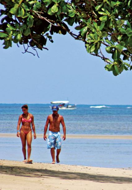 Na areia, amendoeiras fazem sombra para esticar a canga. Caprichosa, a maré prega peças: uma hora deixa só um filete de areia para caminhar e alaga o campo de futebol; e, de repente, vai lá longe, encalha barcos e forma piscinas – onde as embarcações vindas de Morro de São Paulo param para os turistas mergulharem. Na areia, amendoeiras fazem sombra para esticar a canga. Caprichosa, a maré prega peças: uma hora deixa só um filete de areia para caminhar e alaga o campo de futebol; e, de repente, vai lá longe, encalha barcos e forma piscinas – onde as embarcações vindas de Morro de São Paulo param para os turistas mergulharem.