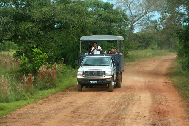 O <strong>safari fotográfico</strong> é o melhor passeio para <strong>observação da animais</strong> no <a href="http://viajeaqui.abril.com.br/cidades/br-ms-miranda" rel="Pantanal" target="_self">Pantanal</a> (especialmente entre julho e setembro, durante a estação da seca). Dentro do veículo você consegue percorrer grandes distâncias, além de chegar mais próximo de jacarés, capivaras, veados, lobinhos, araras, tucanos, tuiuiús e muitos outros <a href="http://viajeaqui.abril.com.br/national-geographic/especiais/bichos-do-brasil" rel="bichos" target="_self">bichos</a> que farão o dia passar bem depressa. Com sorte, sucuris, tamanduás e até uma <a href="http://viajeaqui.abril.com.br/materias/onca-pintada-jaguar" rel="onça-pintada" target="_self">onça-pintada</a> podem aparecer 