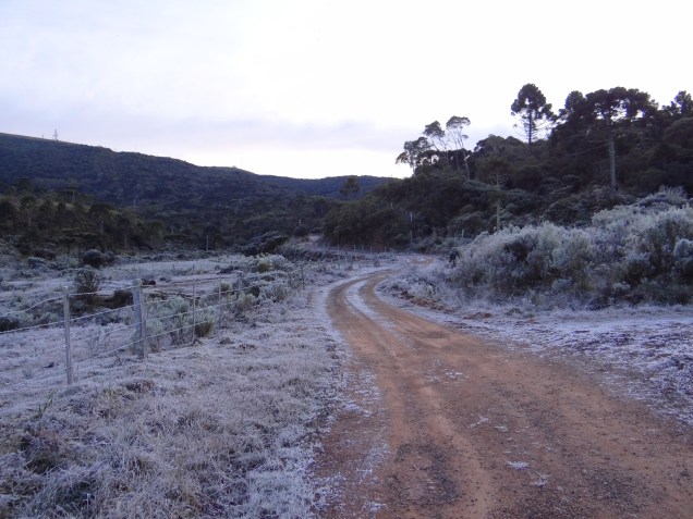 Campo na região de Urupema (SC) amanhece congelado após frente fria em junho de 2016