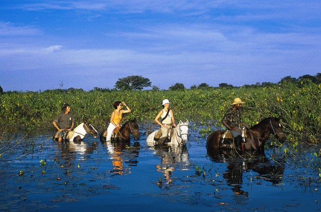 <strong>O passeio a cavalo</strong> é a maneira mais tradicional para se conhecer o <a href="https://viajeaqui.abril.com.br/cidades/br-mt-pantanal" rel="Pantanal" target="_self"><strong>Pantanal</strong></a>. Com o cavalo é possível chegar em lugares impossíveis de serem alcançados de carro ou a pé. Também é possível observar a convivência harmoniosa entre o gado e a <strong><a href="https://viajeaqui.abril.com.br/national-geographic/especiais/bichos-do-brasil" rel="vida selvagem" target="_self">vida selvagem</a></strong> nos campos naturais da planície pantaneira.