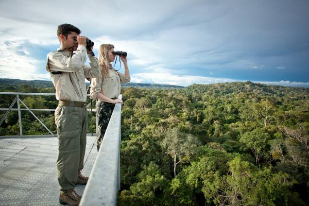 Quem visita o <a href="https://viajeaqui.abril.com.br/cidades/br-mt-pantanal" rel="Pantanal Norte" target="_self"><strong>Pantanal Norte</strong></a> pode combinar a viagem com a <a href="https://viajeaqui.abril.com.br/materias/fotos-de-animais-da-amazonia" rel="Amazônia" target="_self"><strong>Amazônia</strong></a>. O Hotel de Selva Cristalino, em Alta Floresta (Mato Grosso) possui uma torre de 50 metros (foto) de onde é possível observar araras, tucanos, macacos e muitos outros animais que seriam dificilmente avistados do chão da floresta Quem visita o <a href="https://viajeaqui.abril.com.br/cidades/br-mt-pantanal" rel="Pantanal Norte" target="_self"><strong>Pantanal Norte</strong></a> pode combinar a viagem com a <a href="https://viajeaqui.abril.com.br/materias/fotos-de-animais-da-amazonia" rel="Amazônia" target="_self"><strong>Amazônia</strong></a>. O Hotel de Selva Cristalino, em Alta Floresta (Mato Grosso) possui uma torre de 50 metros (foto) de onde é possível observar araras, tucanos, macacos e muitos outros animais que seriam dificilmente avistados do chão da floresta