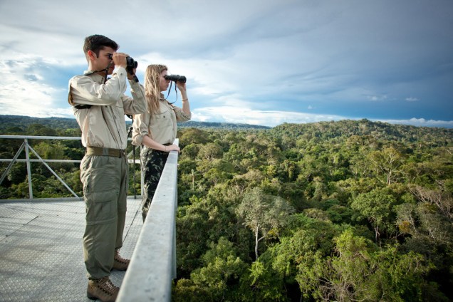 Quem visita o <a href="https://viajeaqui.abril.com.br/cidades/br-mt-pantanal" rel="Pantanal Norte" target="_self"><strong>Pantanal Norte</strong></a> pode combinar a viagem com a <a href="https://viajeaqui.abril.com.br/materias/fotos-de-animais-da-amazonia" rel="Amazônia" target="_self"><strong>Amazônia</strong></a>. O Hotel de Selva Cristalino, em Alta Floresta (Mato Grosso) possui uma torre de 50 metros (foto) de onde é possível observar araras, tucanos, macacos e muitos outros animais que seriam dificilmente avistados do chão da floresta