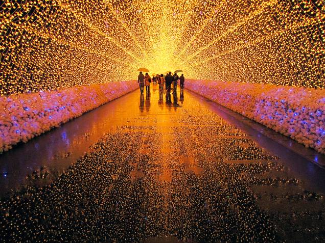 <strong>Iluminação de inverno do Parque Nabana no Sato </strong><strong>–</strong><strong> <a href="http://viajeaqui.abril.com.br/paises/japao" rel="Japão" target="_blank">Japão</a></strong>Mais de 8 milhões de luzes de LED de cores variadas se misturam as flores e árvores do parque. Os túneis (foto), corredores e campos são completamente cobertos de luz! Algumas das instalações são animadas, com luzes que mudam de cor criando efeitos incríveis