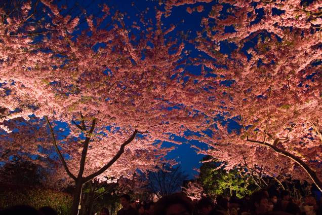 <strong>Iluminação de inverno do Parque Nabana no Sato </strong><strong>–</strong><strong> <a href="http://viajeaqui.abril.com.br/paises/japao" rel="Japão" target="_blank">Japão</a></strong>Este é o maior evento de iluminação do Japão, que une a beleza das luzes na estação mais escura do ano com o delicado equilíbrio das flores que são cultivadas no parque. O parque fica perto da cidade de Nagoya, ao sul de <a href="http://viajeaqui.abril.com.br/cidades/japao-toquio" rel="Tóquio" target="_blank">Tóquio</a>