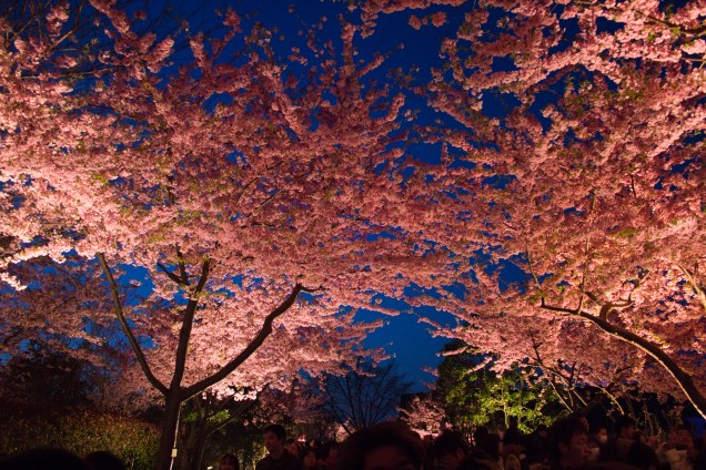 <strong>Iluminação de inverno do Parque Nabana no Sato </strong><strong>–</strong><strong> <a href="https://viajeaqui.abril.com.br/paises/japao" rel="Japão" target="_blank">Japão</a></strong>Este é o maior evento de iluminação do Japão, que une a beleza das luzes na estação mais escura do ano com o delicado equilíbrio das flores que são cultivadas no parque. O parque fica perto da cidade de Nagoya, ao sul de <a href="https://viajeaqui.abril.com.br/cidades/japao-toquio" rel="Tóquio" target="_blank">Tóquio</a>