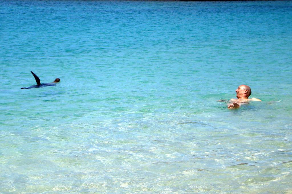 Turista nadando com leão-marinho em Galápagos