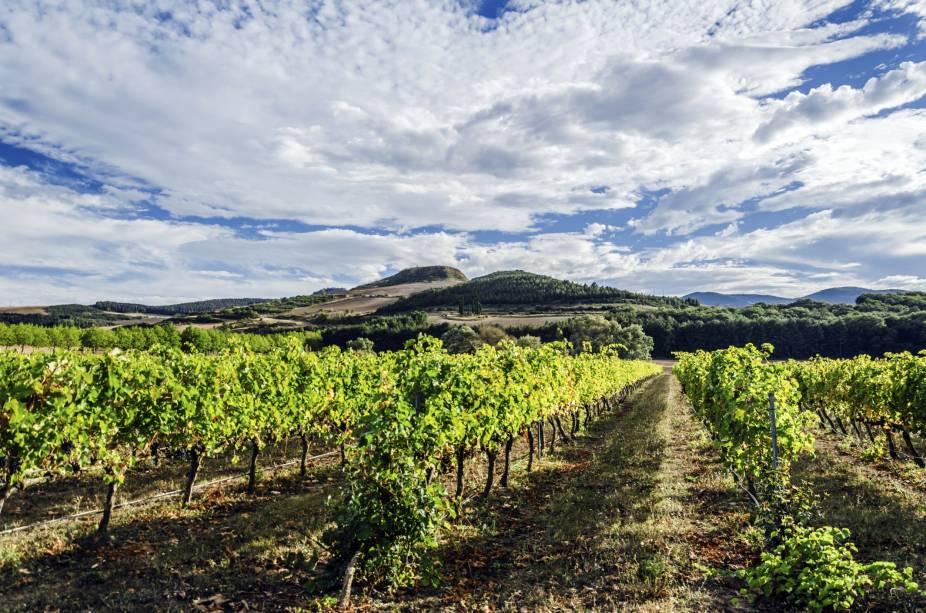 <strong><a href="https://viajeaqui.abril.com.br/cidades/espanha-pais-basco-e-navarra" target="_self">Navarra</a>, <a href="https://viajeaqui.abril.com.br/paises/espanha" target="_self">Espanha</a></strong>Vales e montanhas marcam a bela paisagem da região. Por aqui, a cultura dos vinhos tem força desde o século 17, quando a bebida era um de seus principais produtos de exportação. A Tempranillo é considerada a cepa mais plantada da região, e produz vinhos bem encorpados. Entre os rosés, destaca-se os rótulos produzidos a partir de uvas Grenache<em><a href="https://www.booking.com/region/es/navarre.pt-br.html?aid=332455&label=viagemabril-vinicolas-da-europa" target="_blank" rel="noopener">Veja preços de hotéis em Navarra no Booking.com</a></em> <strong><a href="https://viajeaqui.abril.com.br/cidades/espanha-pais-basco-e-navarra" target="_self">Navarra</a>, <a href="https://viajeaqui.abril.com.br/paises/espanha" target="_self">Espanha</a></strong>Vales e montanhas marcam a bela paisagem da região. Por aqui, a cultura dos vinhos tem força desde o século 17, quando a bebida era um de seus principais produtos de exportação. A Tempranillo é considerada a cepa mais plantada da região, e produz vinhos bem encorpados. Entre os rosés, destaca-se os rótulos produzidos a partir de uvas Grenache<em><a href="https://www.booking.com/region/es/navarre.pt-br.html?aid=332455&label=viagemabril-vinicolas-da-europa" target="_blank" rel="noopener">Veja preços de hotéis em Navarra no Booking.com</a></em>