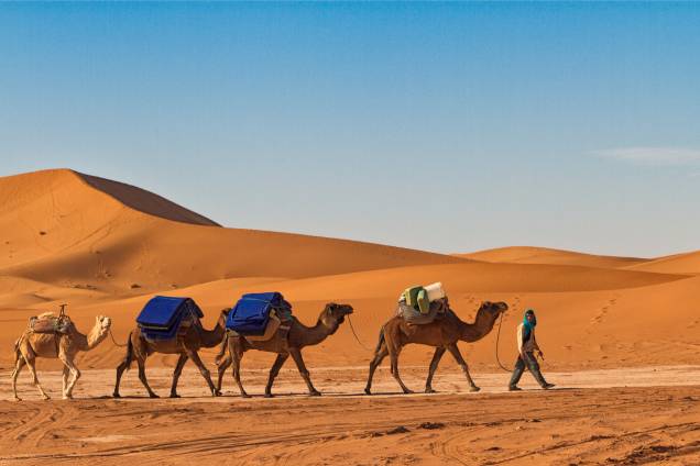Touareg guiando caravana de camelos pelo deserto do Sahara