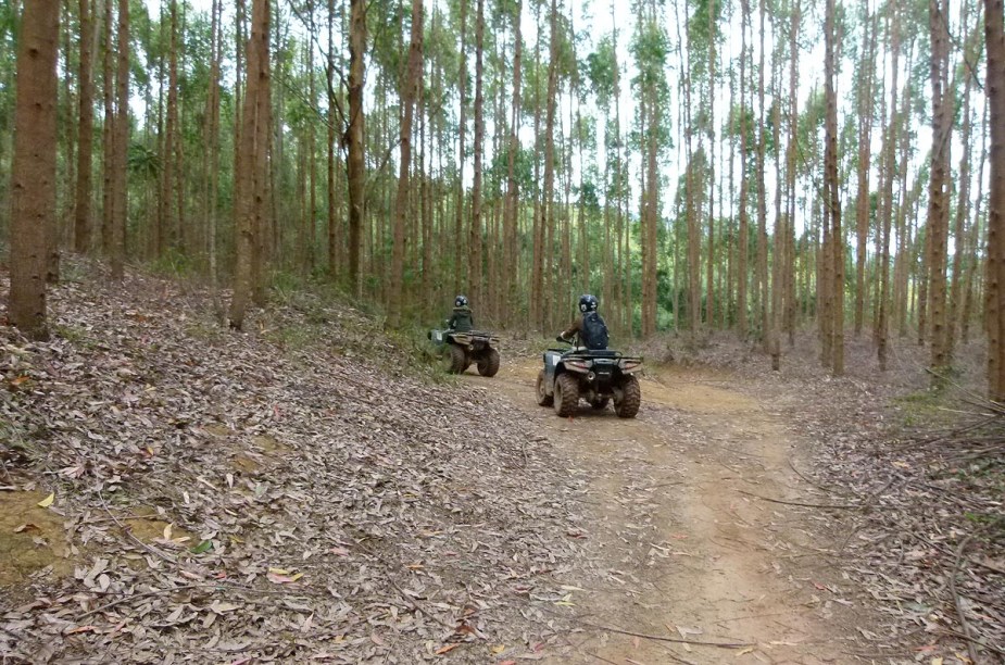 O passeio na Fazenda Radical percorre uma trilha de 13 quilômetros no meio da plantação de eucaliptos