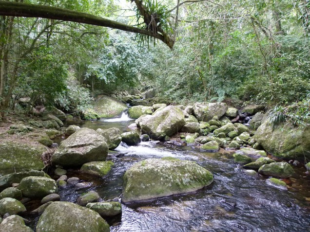 Rio que cruza a trilha a pé para a Cachoeira do Gato, na Praia de Castelhanos