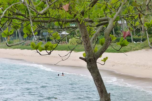 Banhistas se divertem na praia da Feiticeira, em Ilhabela Banhistas se divertem na praia da Feiticeira, em Ilhabela