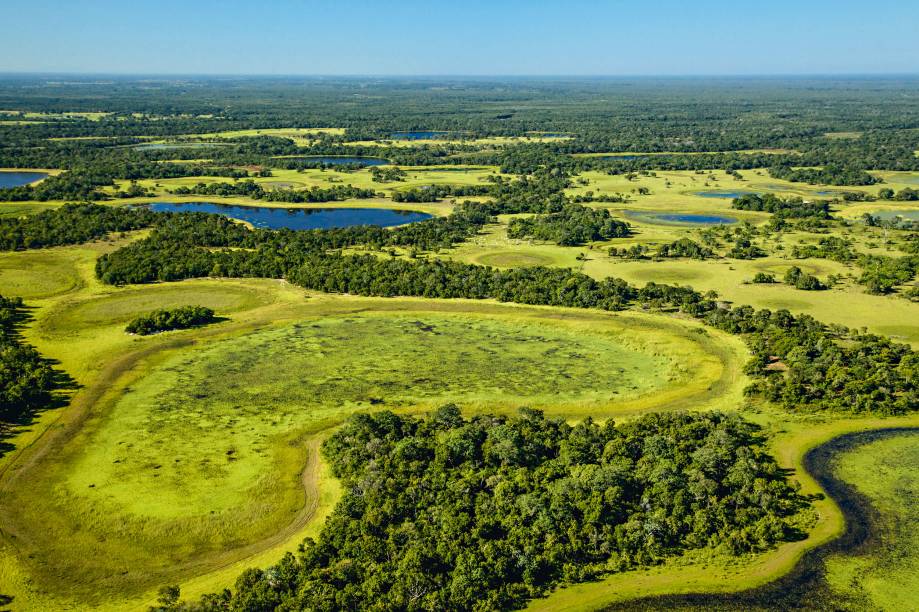 <strong>Nhecolândia </strong><strong>–</strong><strong> <a href="https://viajeaqui.abril.com.br/cidades/br-mt-pantanal" rel="Pantanal" target="_blank">Pantanal</a></strong>"A região é forrada de lagoas arredondadas de água salgada, chamadas de salinas. O lugar é um santuário intocado, e o único jeito de vê-lo de perto é sobrevoando - na cidade de <a href="https://viajeaqui.abril.com.br/cidades/br-ms-aquidauana" rel="Aquidauana" target="_blank">Aquidauana</a>, dá para contratar os passeios aéreos. Todo mês de julho, eu e minha família vamos a algum lugar diferente no Pantanal, pois uma viagem para lá nunca é igual a outra"