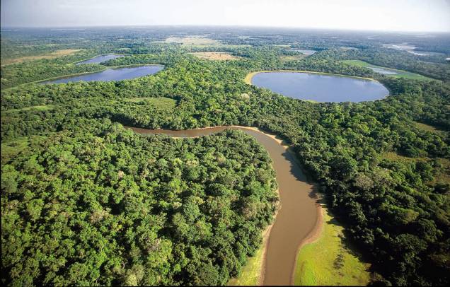 O <strong><a href="http://viajeaqui.abril.com.br/cidades/br-mt-pantanal" rel="Pantanal" target="_self">Pantanal</a></strong> marca forte presença em regiões dos Estados do <a href="http://viajeaqui.abril.com.br/estados/br-mato-grosso" rel="Mato Grosso" target="_self">Mato Grosso</a> e no <a href="http://viajeaqui.abril.com.br/estados/br-mato-grosso-do-sul" rel="Mato Grosso do Sul" target="_self">Mato Grosso do Sul</a>. Considerado a maior planície alagável do mundo, tem cerca de 250 espécies de peixes, 80 de mamíferos, 50 de répteis e mais de 650 de aves. Por aqui, vale esquecer o medo e explorar o lugar como um verdadeiro peão! 