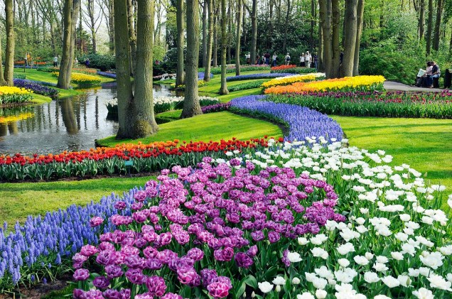 Todos os anos, cerca de 800 mil visitantes passam pelo jardim, o equivalente a quase toda a população da capital Amsterdã (pouco mais de 805 mil habitantes).