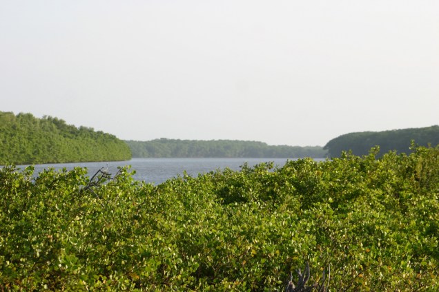 A Ilha do Caju tem mangues, restinga, igarapés, dunas e lagoas