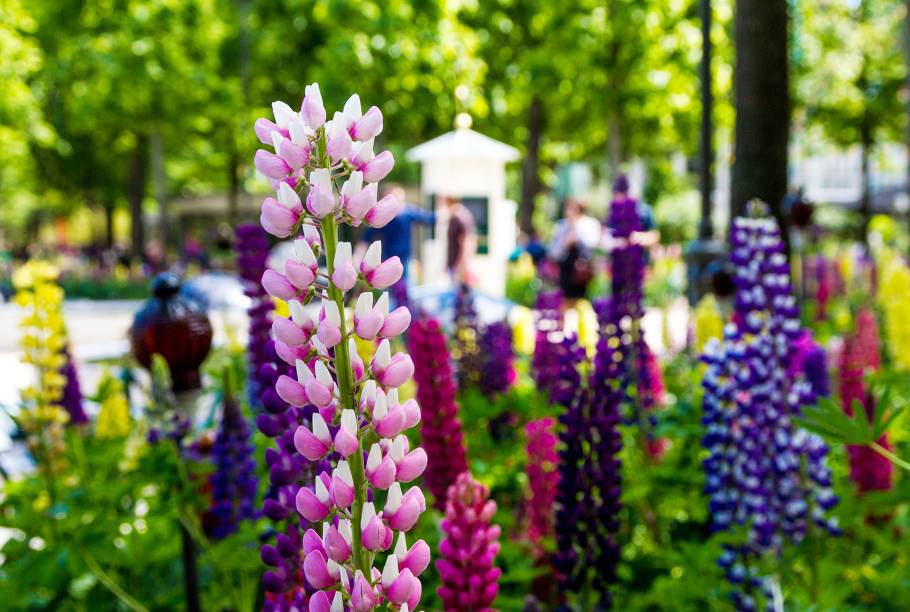 Há quem visite o <a href="https://viajeaqui.abril.com.br/estabelecimentos/dinamarca-copenhague-atracao-tivoli" rel="Tivoli" target="_blank">Tivoli</a> na primavera, apenas para observar o imenso (e muito bem cuidado) jardim do parque de diversões